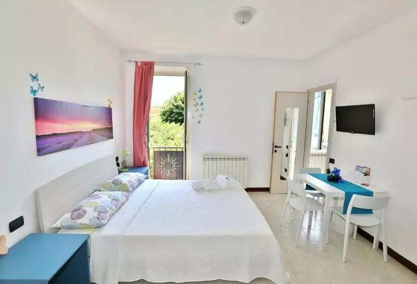 ペンション Camera Molly