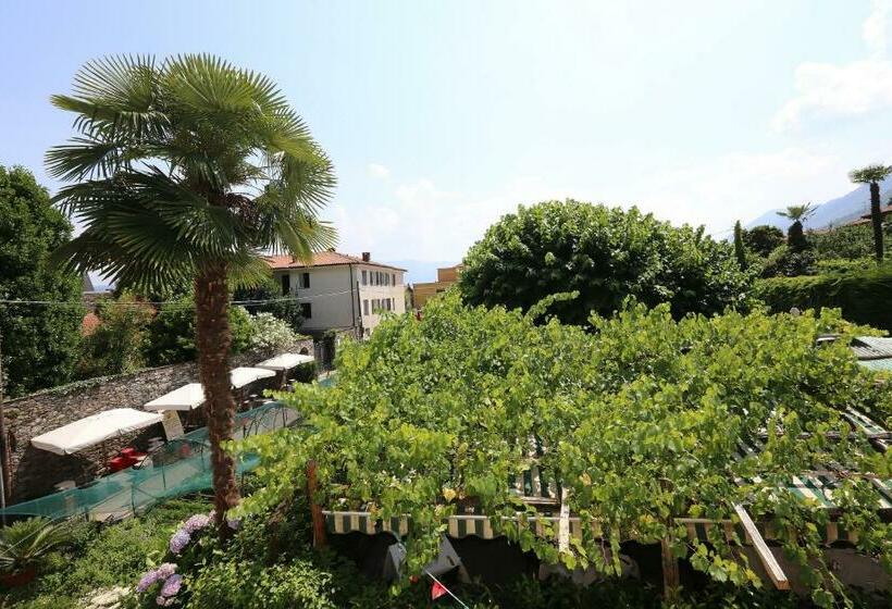 Pensjonat Camera Molly