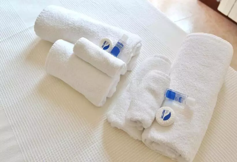 ペンション Camera Molly