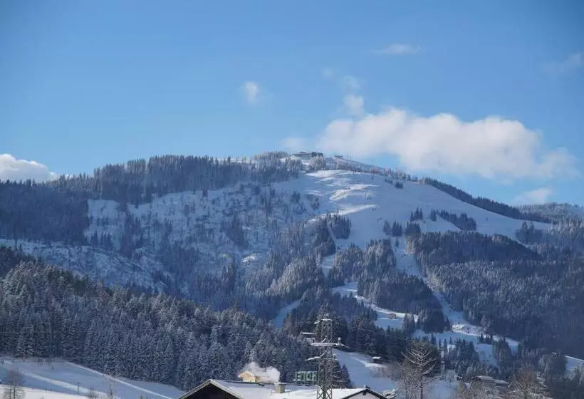 Majatalo Appartements Retthäusl