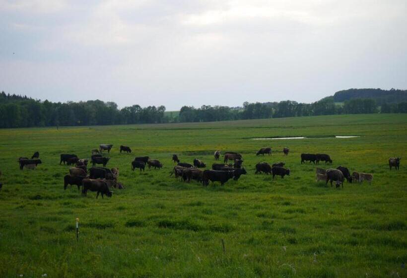 膳宿费 Café Im Hof  Bed & Breakfast