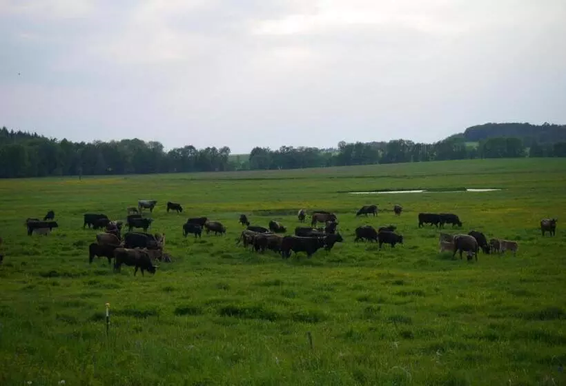 Pensão Café Im Hof  Bed & Breakfast