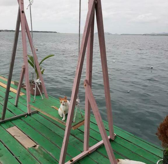 פנסיון Nd Divers