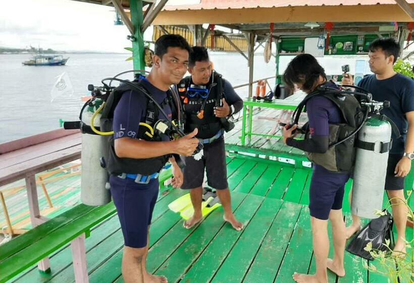 פנסיון Nd Divers