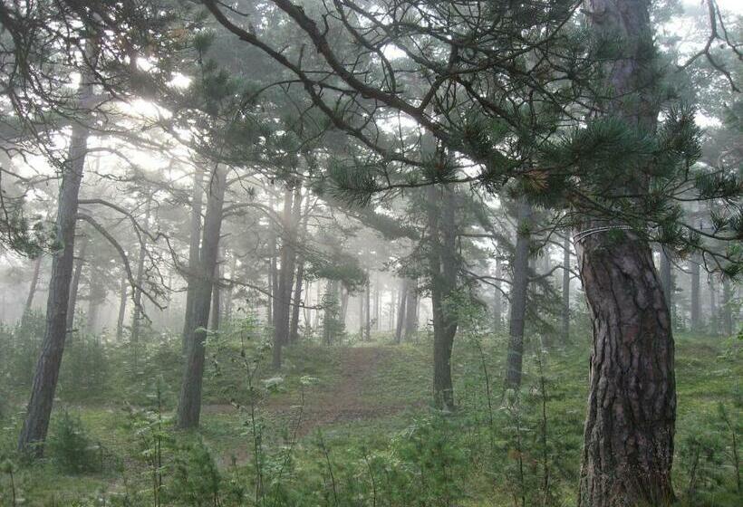 پانسیون Samblatalu Homestay