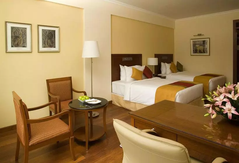 Hotelli The Elite Grand, Chennai
