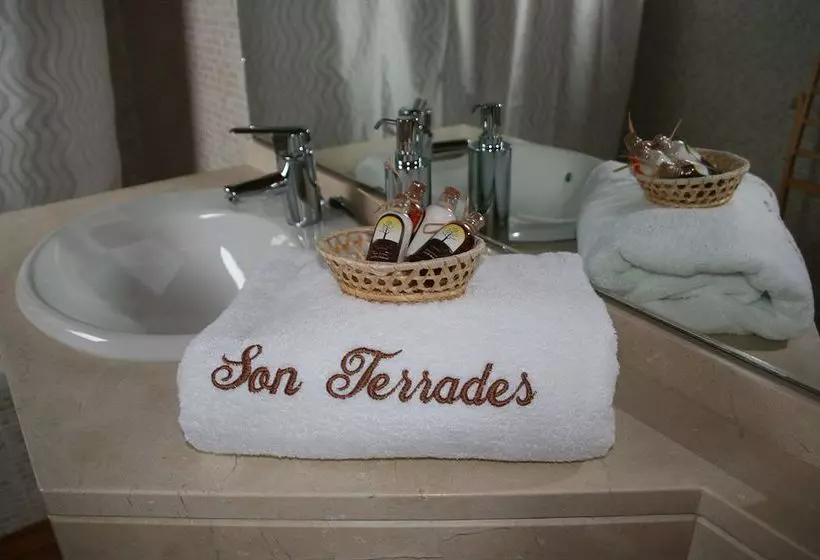 교외 호텔 Son Terrades