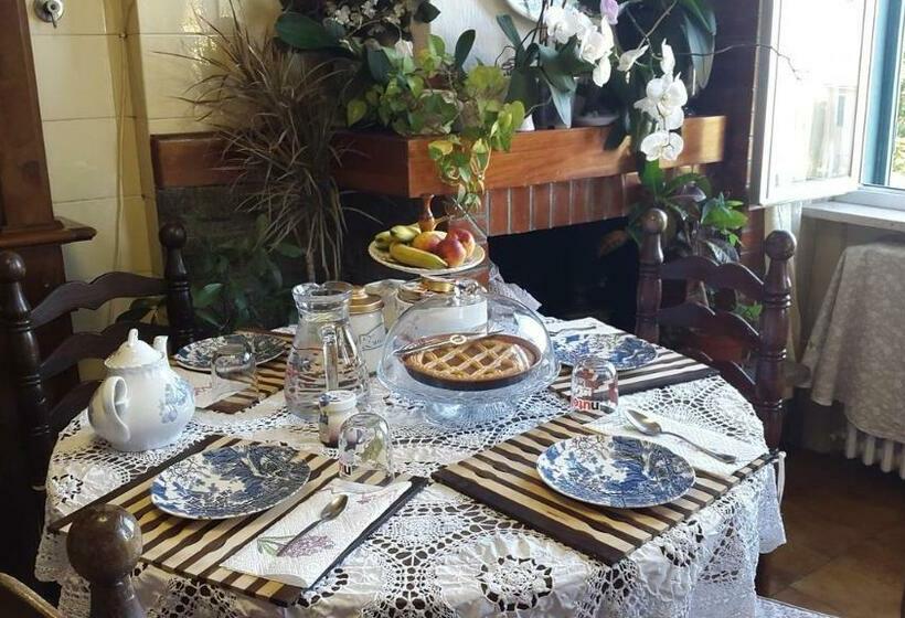 Albisola Bed And Breakfast