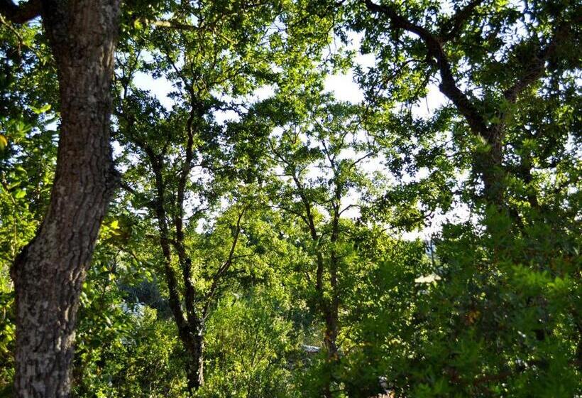 B&b Lamie Di Olimpia