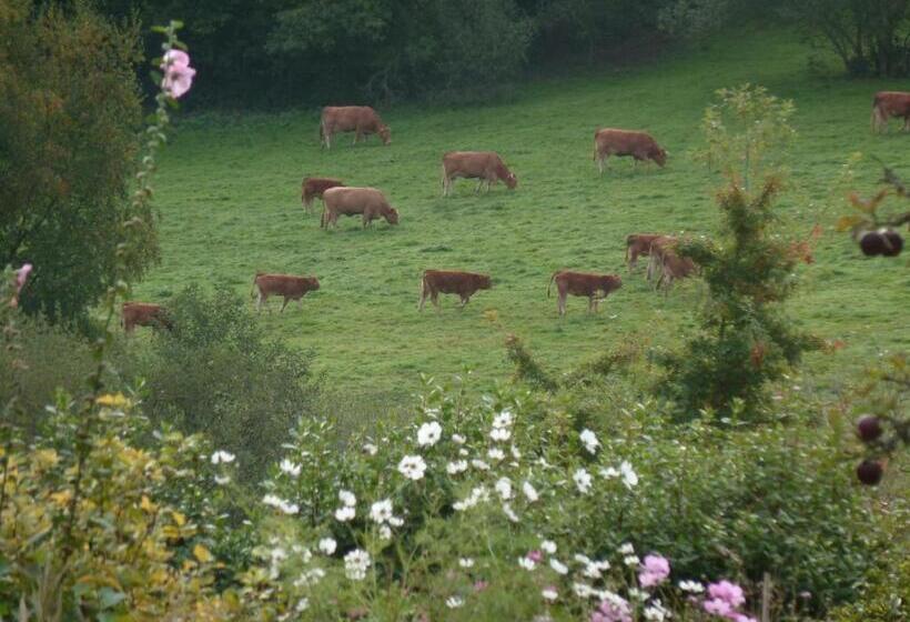 צימר Chambre D Hôte Près De Deauville