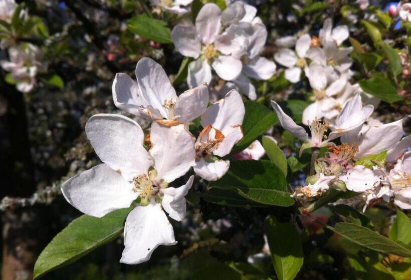 צימר Chambre D Hôte Près De Deauville