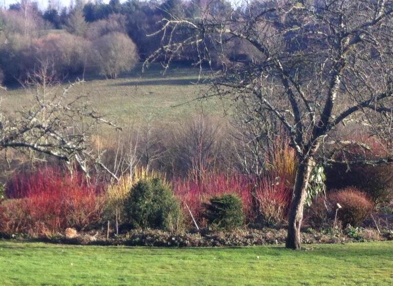 צימר Chambre D Hôte Près De Deauville