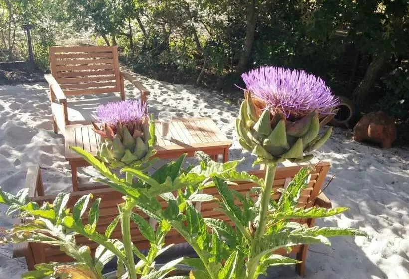 تختخواب و صبحانه Le Relais De La Praya