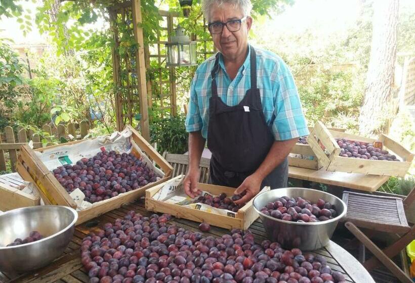 צימר Le Relais De La Praya