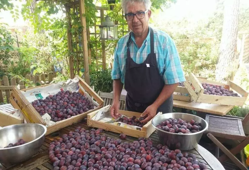 تختخواب و صبحانه Le Relais De La Praya