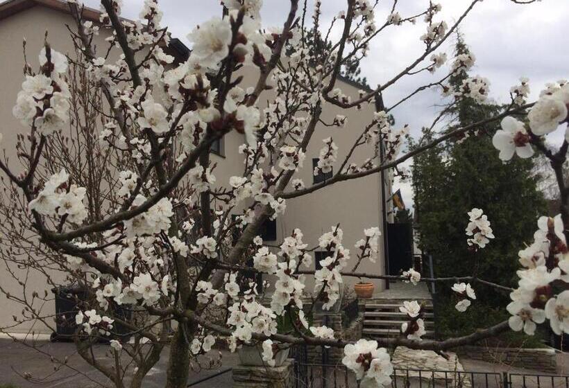 مبيت وإفطار Pension Marillenhof