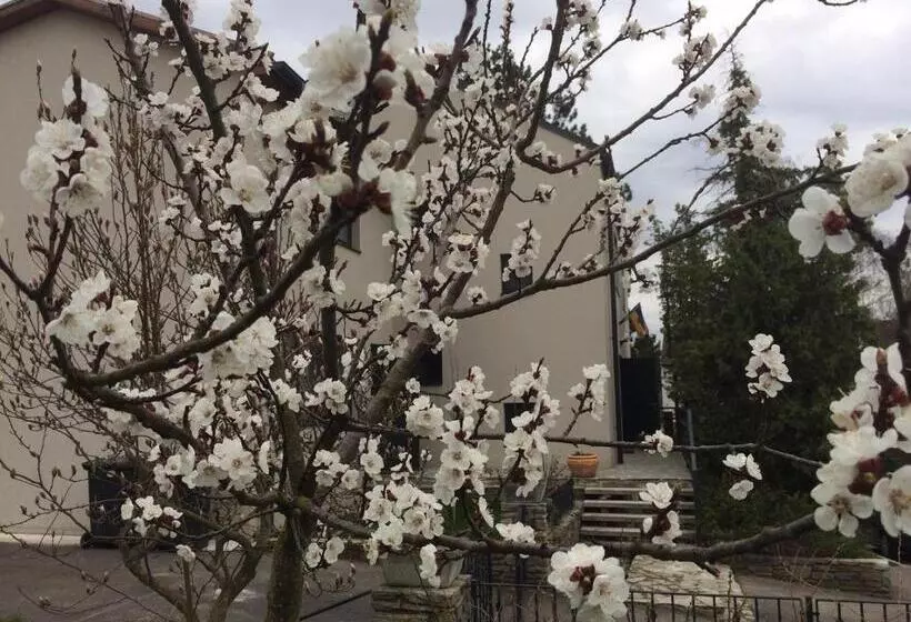 ベッドアンドブレックファースト Pension Marillenhof