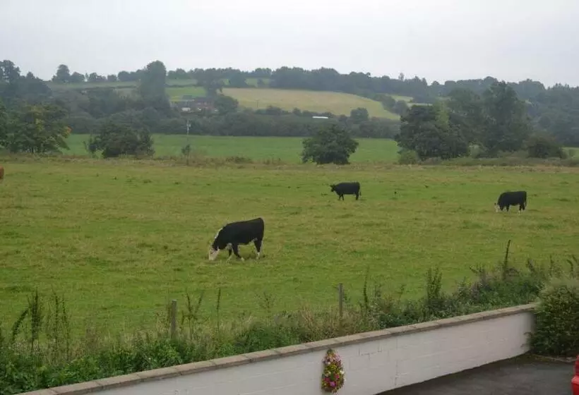 Aamiaismajoitus (B&B) The Lilacs