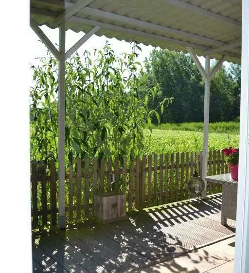 Bed & Breakfast Boszicht Leeuwarden