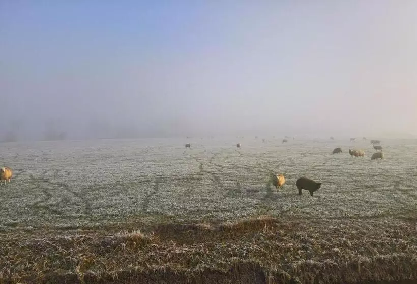 Bed & Breakfast Boszicht Leeuwarden