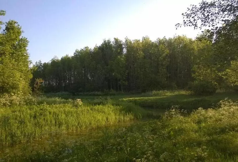 Bed & Breakfast Boszicht Leeuwarden