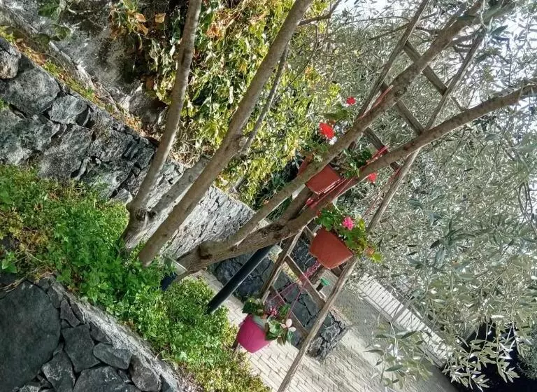 Hotelli Azienda Agricola Cuntarati