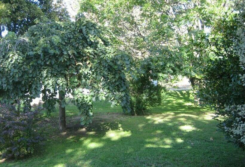 ペンション Nathan S Place