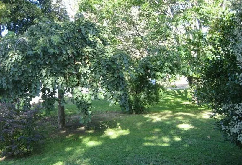 Majatalo Nathan S Place