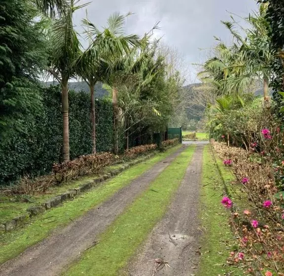 ペンション Quinta De Santana   Queimadas