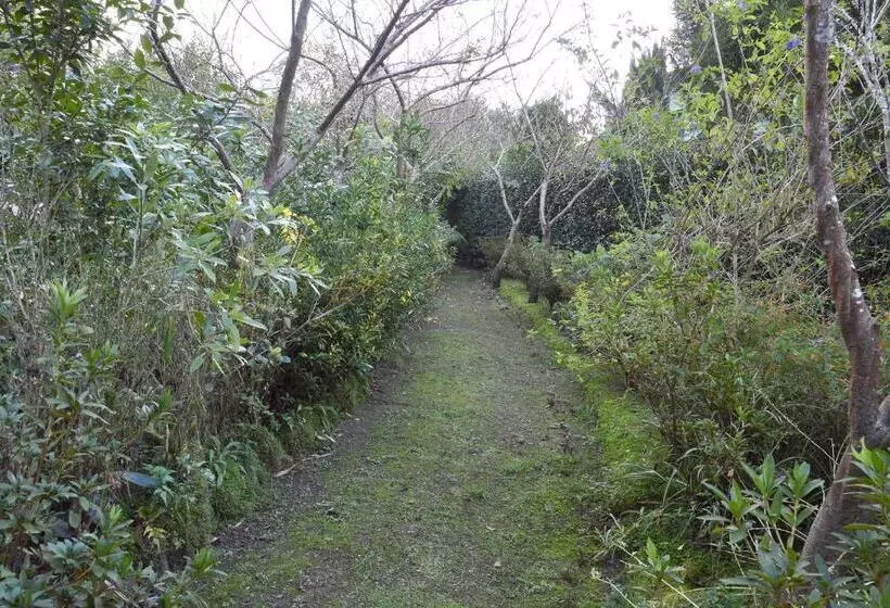 ペンション Quinta De Santana   Queimadas