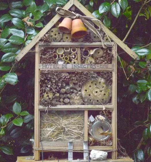 ペンション Quinta De Santana   Queimadas