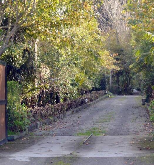 Пансион Quinta De Santana   Queimadas