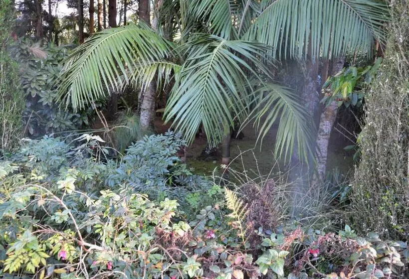 ペンション Quinta De Santana   Queimadas