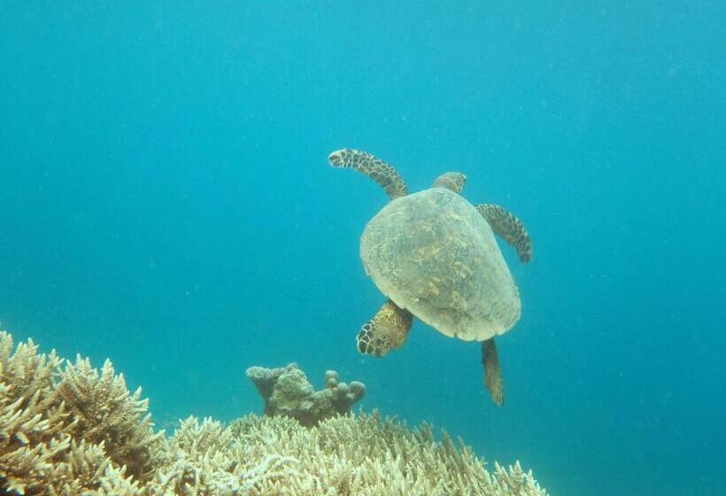 تختخواب و صبحانه Les Baobabs