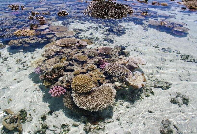 تختخواب و صبحانه Les Baobabs