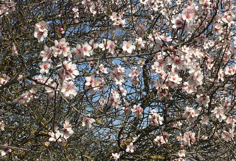 住宿加早餐  Les Lavandes