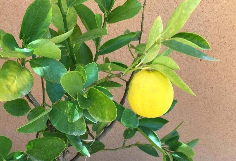 住宿加早餐  Les Lavandes