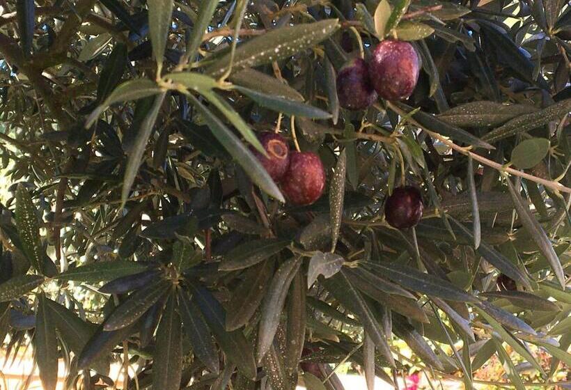 住宿加早餐  Les Lavandes