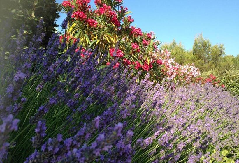 住宿加早餐  Les Lavandes