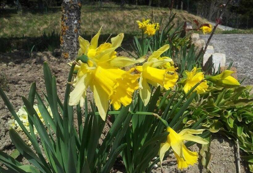 膳宿费 La Colombella