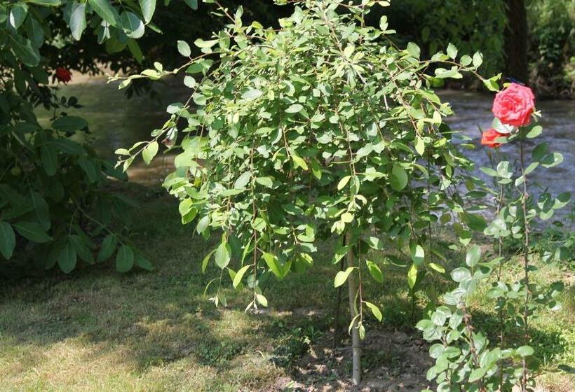 ペンション Neda S House