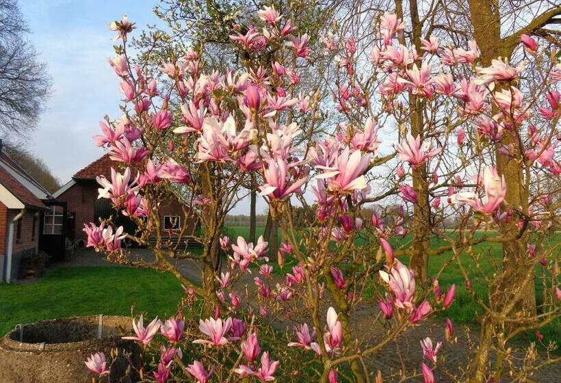 Thil S Bed And Breakfast