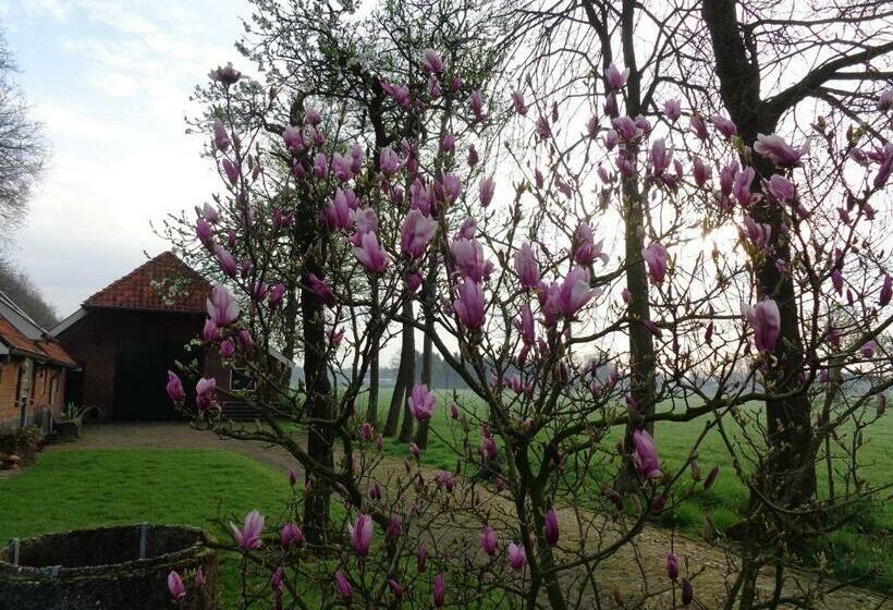 Thil S Bed And Breakfast