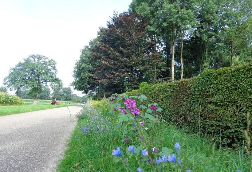 Thil S Bed And Breakfast