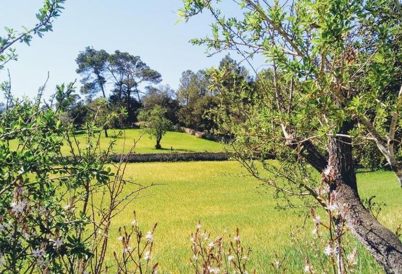 تختخواب و صبحانه Casa Mona Turismo De Interior