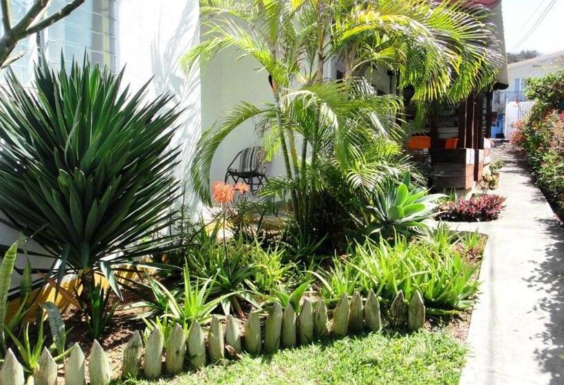 تختخواب و صبحانه Colibri Beach Villas