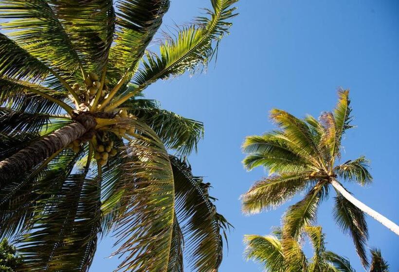 تختخواب و صبحانه Colibri Beach Villas