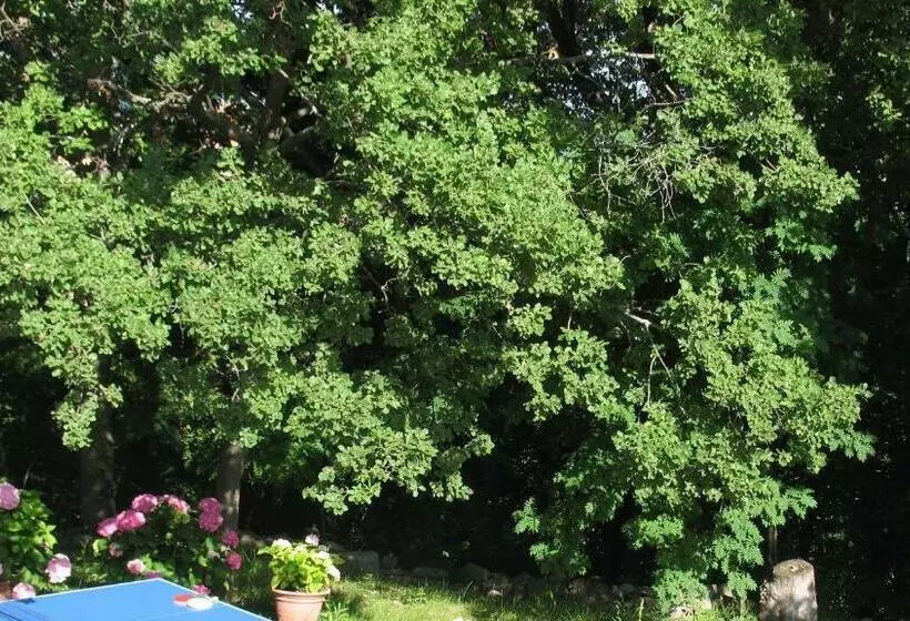 تختخواب و صبحانه La Casa Dei Boschi