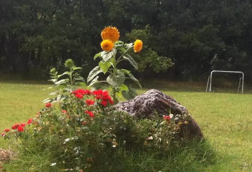 تختخواب و صبحانه La Casa Dei Boschi