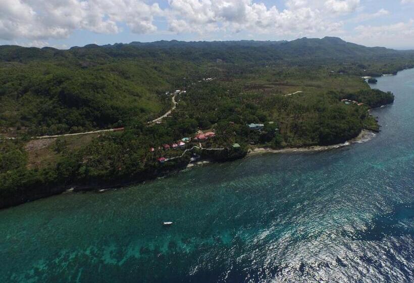 Blue Star Dive And Resort